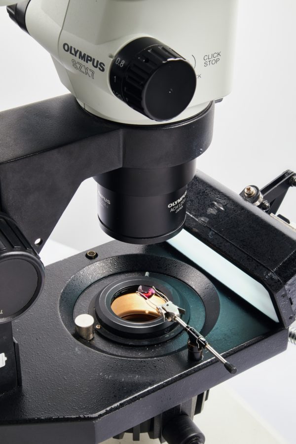 侏羅紀博物館鑑定所的顯微鏡