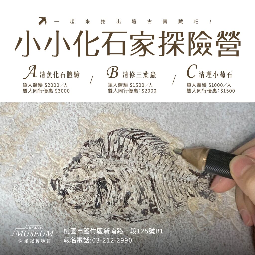 【今夏最化石的冒險旅程！】 #小小化石家探險營 開挖啦！