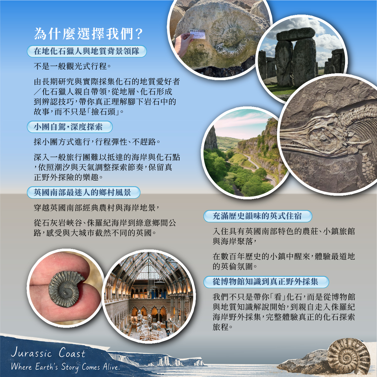 為什麼選擇我們