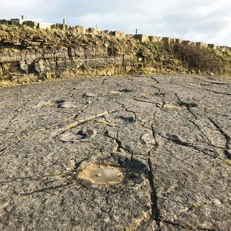 image15