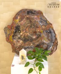 璀璨瑰麗 - 寶石家飾展-8